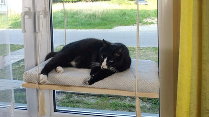 Cat Window Shelf – The Sunny Spot 75 cm