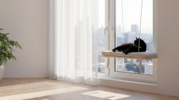 "The Sunny Spot" 60 cm Cat Shelf, wood base