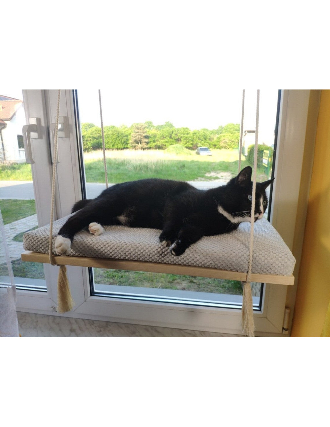 "The Sunny Spot" 60 cm Cat Shelf, wood base