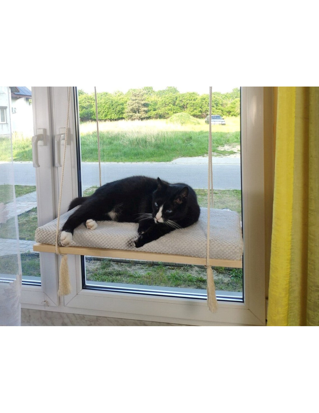 "The Sunny Spot" 60 cm Cat Shelf, wood base