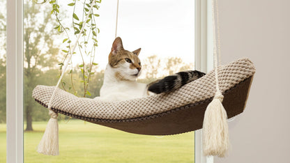 "The Arcing View" 60 cm Cat Shelf, metal base