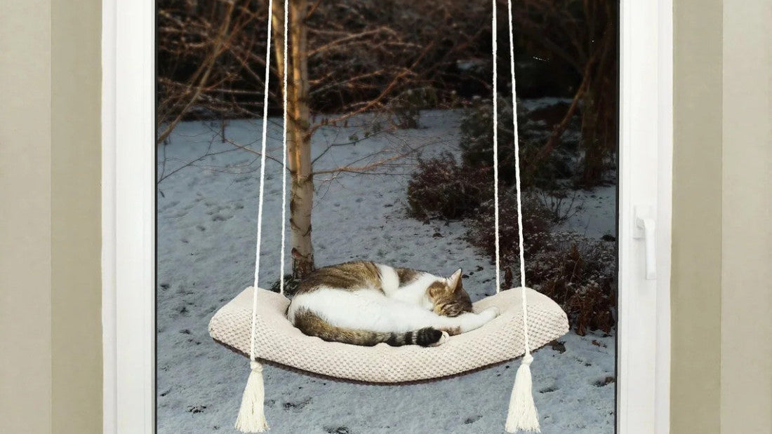 "The Arcing View" 60 cm Cat Shelf, metal base