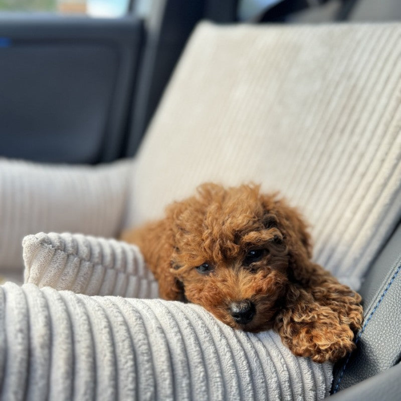 Pet Car Seat "Milano" Beige