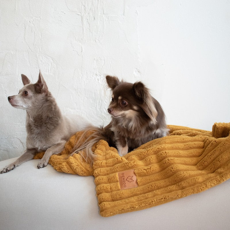 Buy [Product name] – [product type] for pets | Sissy’s Pets Place