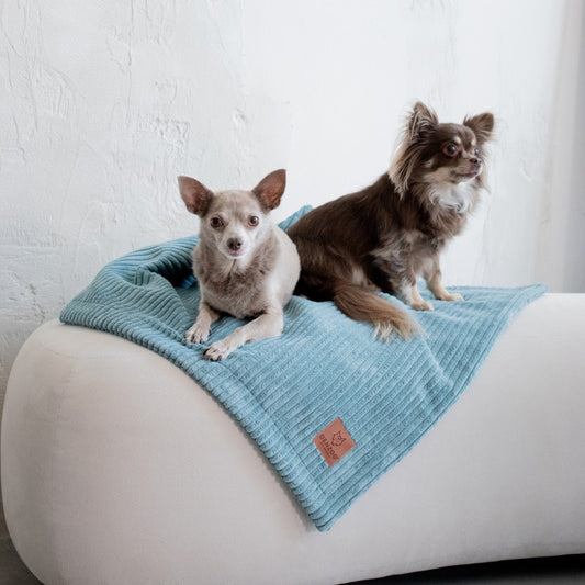Pet Blanket "Milano" Turquise