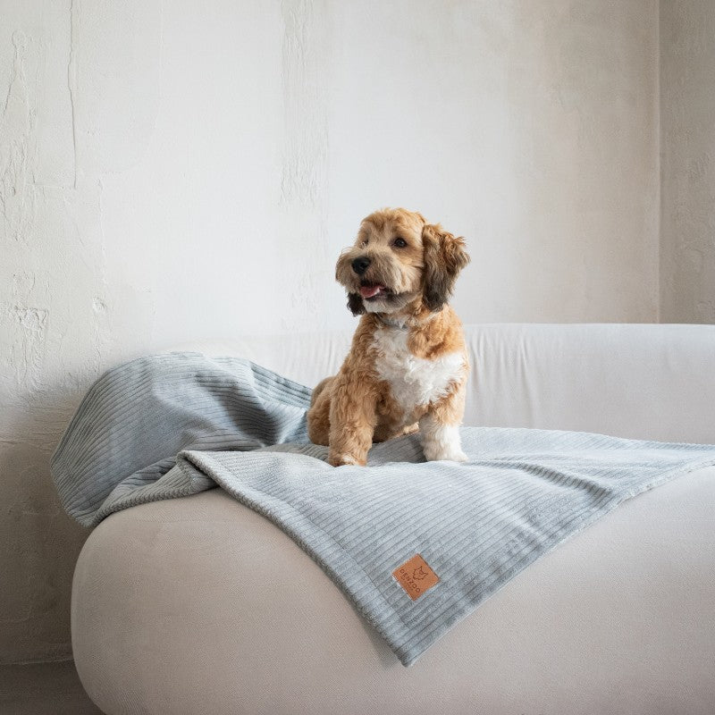 Buy [Product name] – [product type] for pets | Sissy’s Pets Place