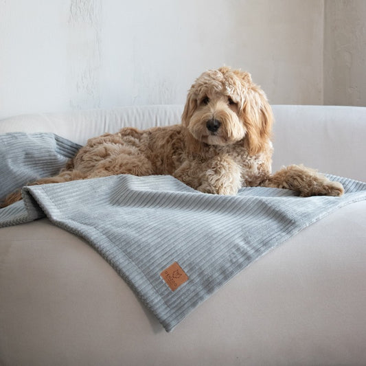 Pet Blanket "Milano" Grey