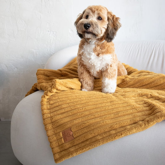 Pet Blanket "Palermo" Mustard