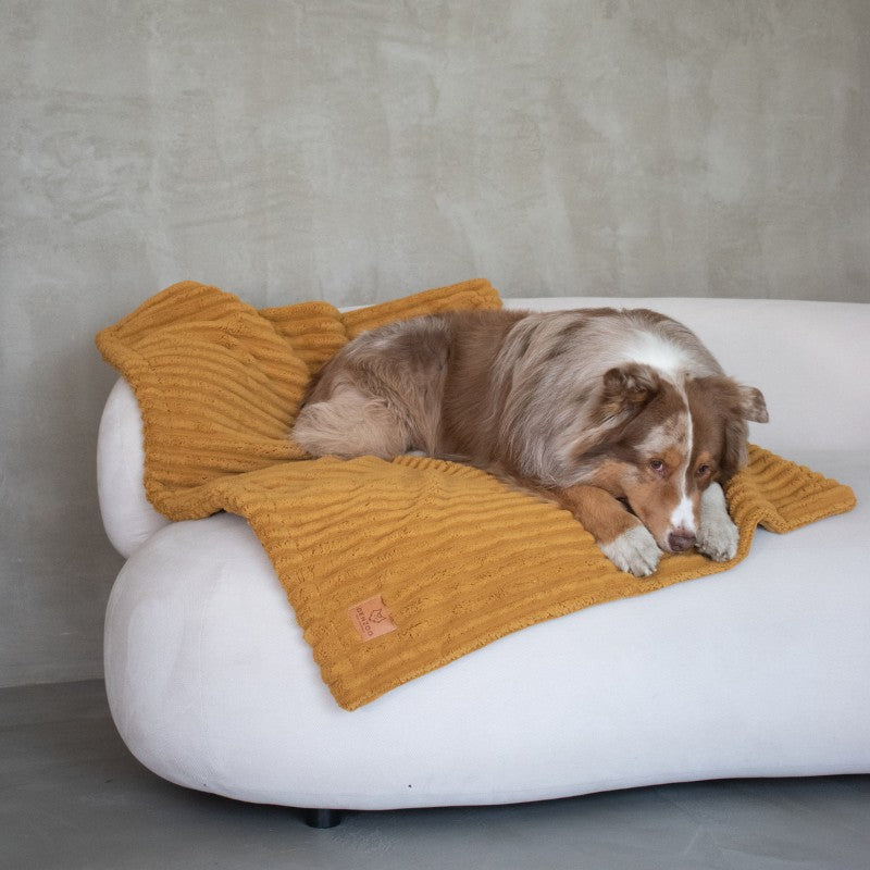 Buy [Product name] – [product type] for pets | Sissy’s Pets Place