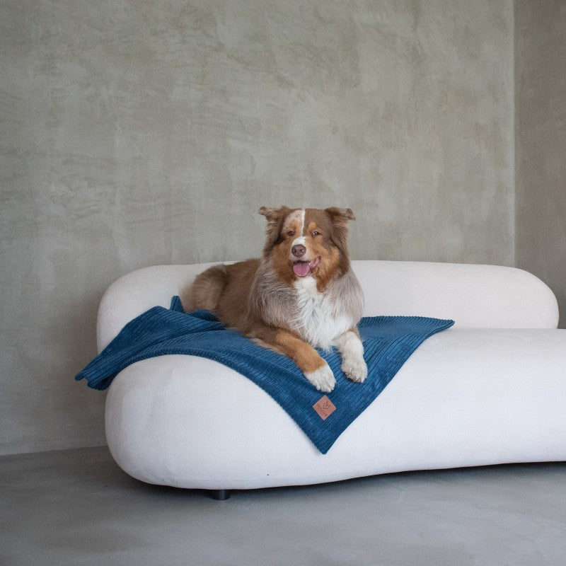 Buy [Product name] – [product type] for pets | Sissy’s Pets Place