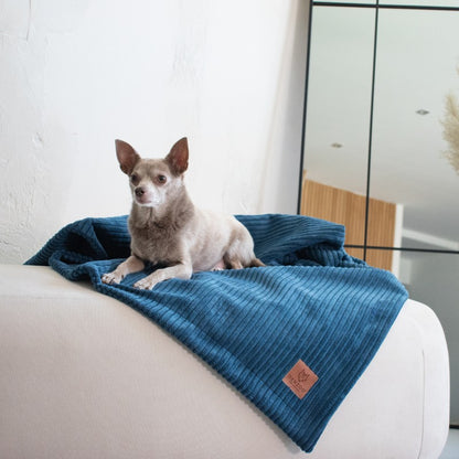 Buy [Product name] – [product type] for pets | Sissy’s Pets Place