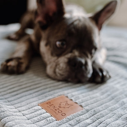 Buy [Product name] – [product type] for pets | Sissy’s Pets Place