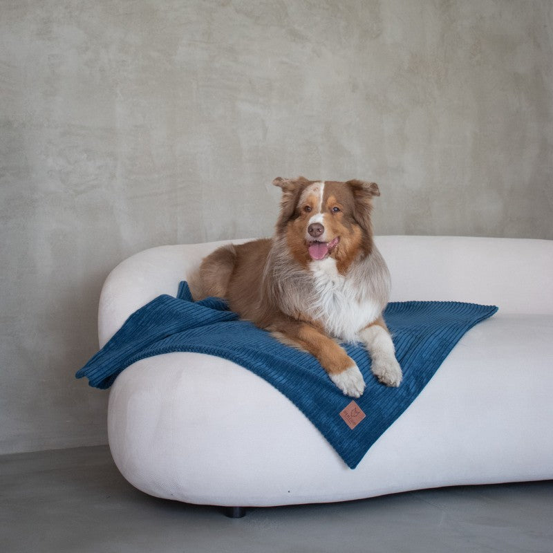 Buy [Product name] – [product type] for pets | Sissy’s Pets Place