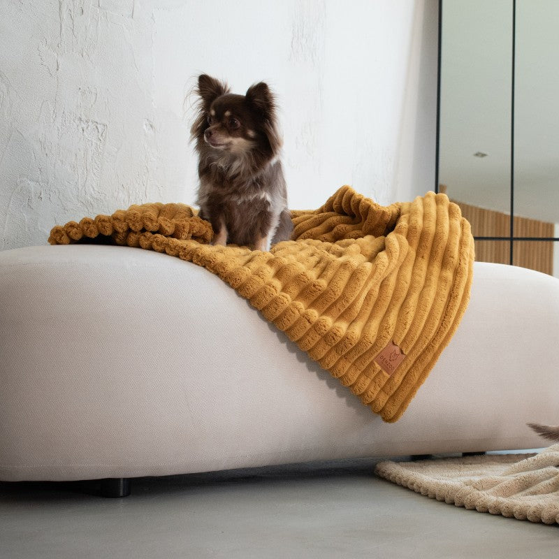 Buy [Product name] – [product type] for pets | Sissy’s Pets Place