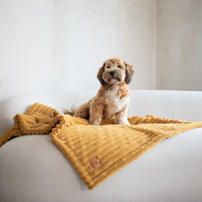 Buy [Product name] – [product type] for pets | Sissy’s Pets Place