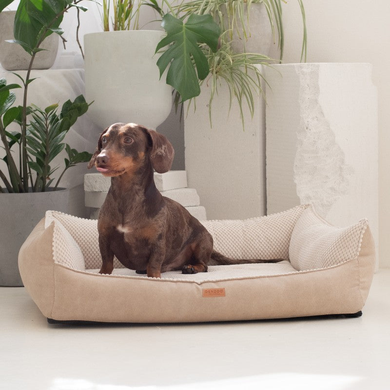 Orthopedic Dog Bed "ANCONA"