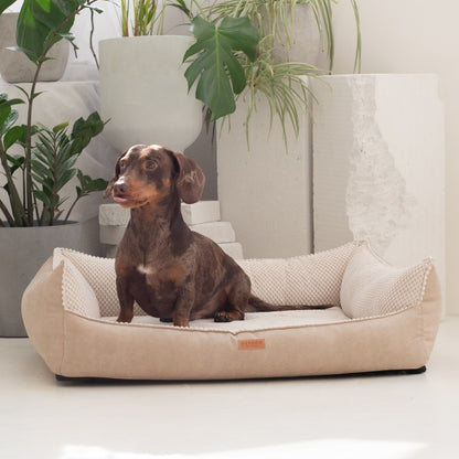 Orthopedic Dog Bed "ANCONA"