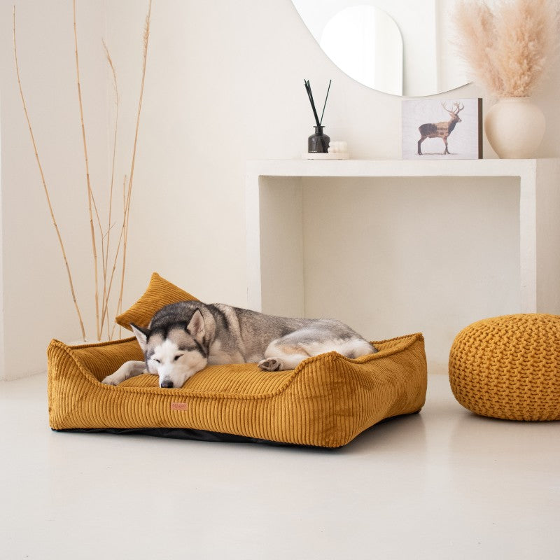 Buy [Product name] – [product type] for pets | Sissy’s Pets Place
