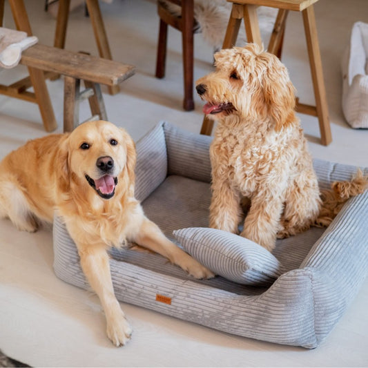 Orthopedic Dog Bed "RIMINI" Grey