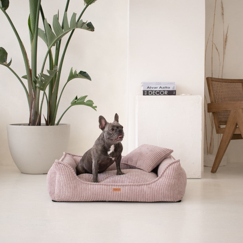 Buy [Product name] – [product type] for pets | Sissy’s Pets Place