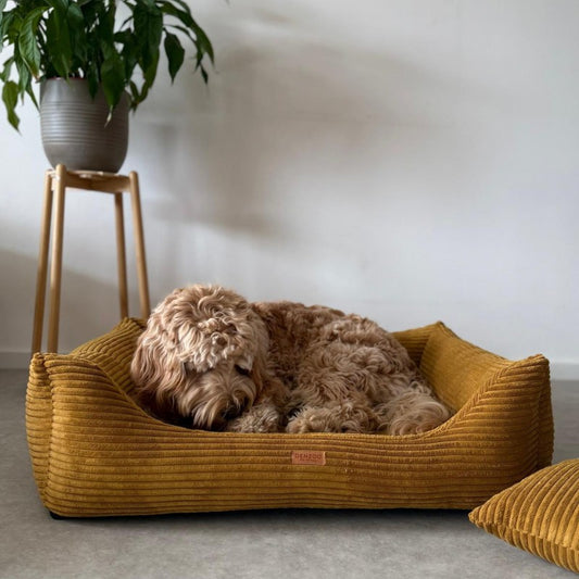 Orthopedic Dog Bed "RIMINI" Mustard