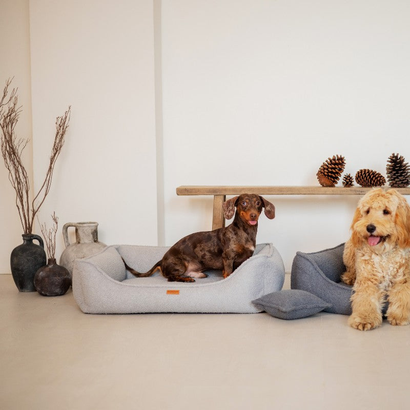 Orthopedic Dog Bed "BELLUNO" Grey