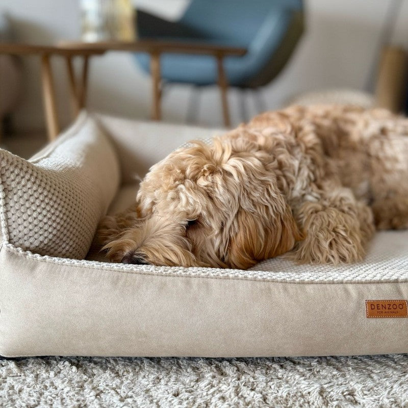 Orthopedic Dog Bed "ANCONA"