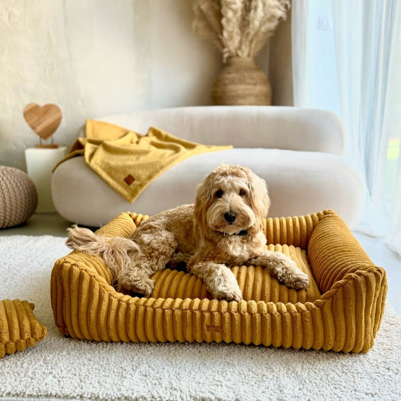Orthopedic Dog Bed "PALERMO" Mustard Yellow