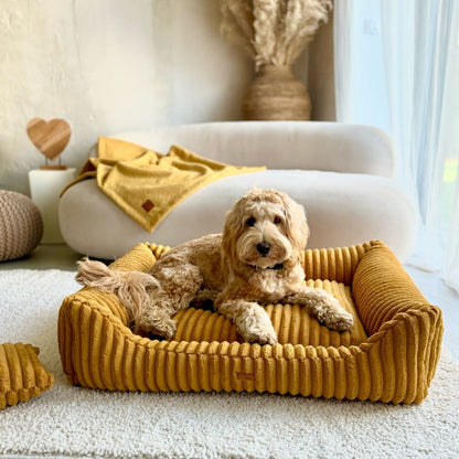 Orthopedic Dog Bed "PALERMO" Mustard Yellow