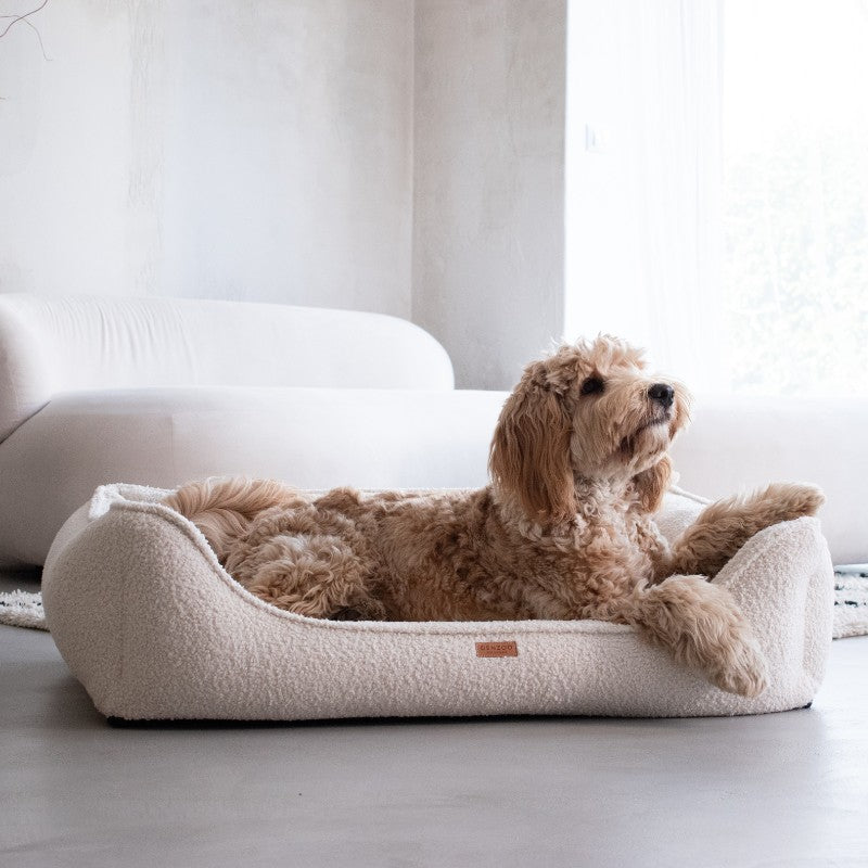 Orthopedic Dog Bed "BELLUNO" Beige