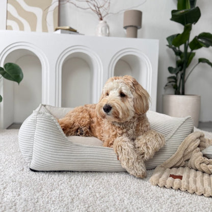 Orthopedisch hondenkussen "MODENA" beige
