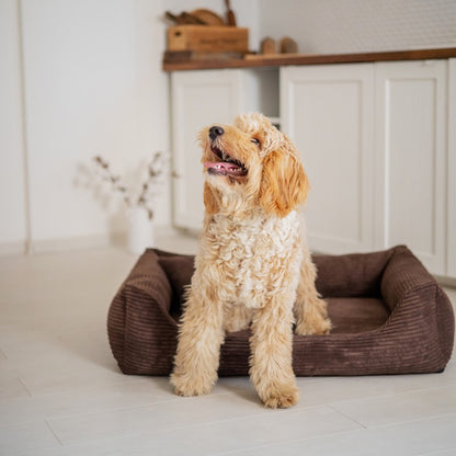Orthopedic Dog Bed "RIMINI" Brown