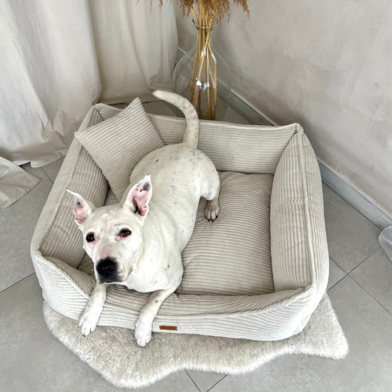 Orthopedisch hondenkussen "MODENA" beige