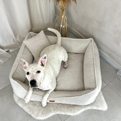 Orthopedisch hondenkussen "MODENA" beige