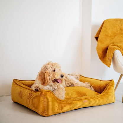 Buy [Product name] – [product type] for pets | Sissy’s Pets Place