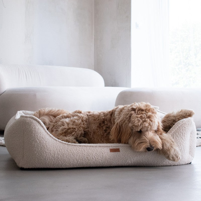 Orthopedic Dog Bed "BELLUNO" Beige