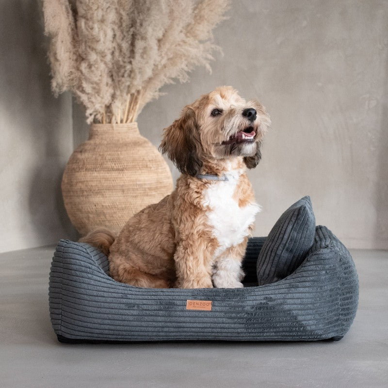 Orthopedic Dog Bed "RIMINI" Dark Grey