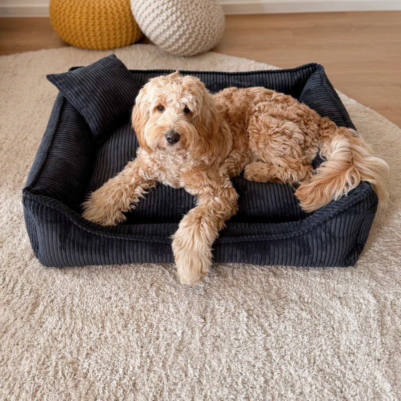 Buy [Product name] – [product type] for pets | Sissy’s Pets Place