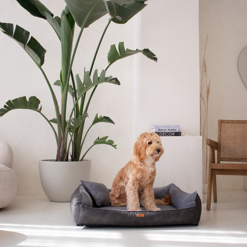 Orthopedic Dog Bed "ANCONA"