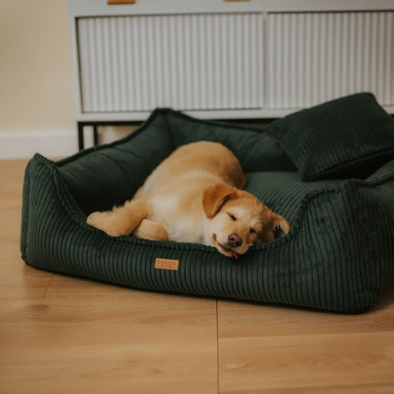 Buy [Product name] – [product type] for pets | Sissy’s Pets Place