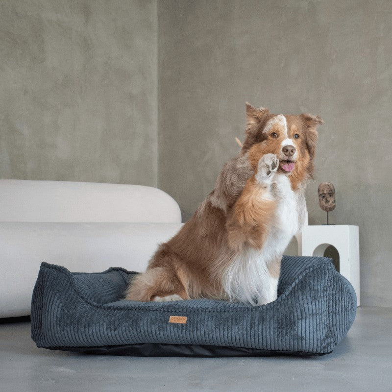 Buy [Product name] – [product type] for pets | Sissy’s Pets Place