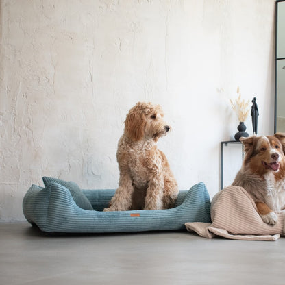 Orthopedic Dog Bed "RIMINI" Turquise