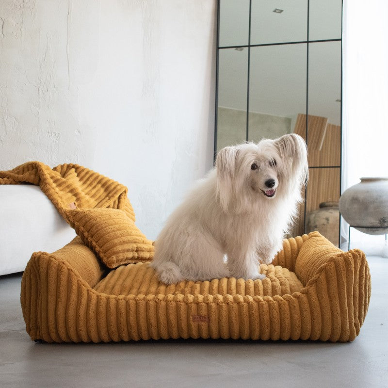 Orthopedic Dog Bed "PALERMO" Mustard Yellow