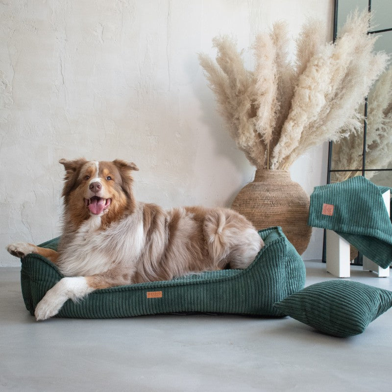 Buy [Product name] – [product type] for pets | Sissy’s Pets Place