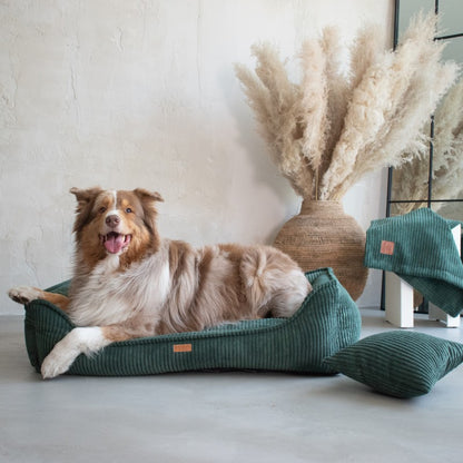 Buy [Product name] – [product type] for pets | Sissy’s Pets Place