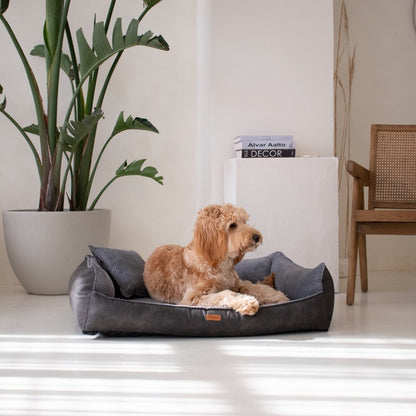 Orthopedic Dog Bed "ANCONA"