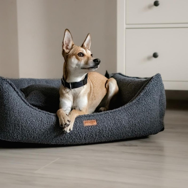 Orthopedic Dog Bed "BELLUNO" Dark Grey