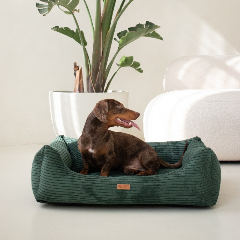 Orthopedic Dog Bed "RIMINI" Bottle Green