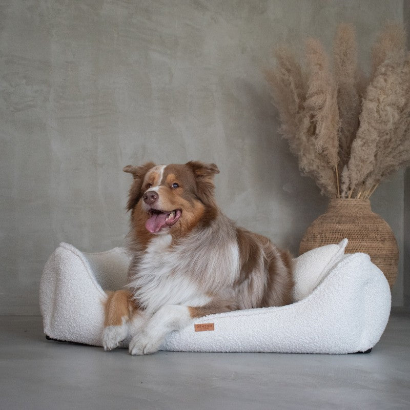 Orthopedic Dog Bed "BELLUNO" Beige