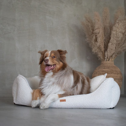 Orthopedic Dog Bed "BELLUNO" Beige